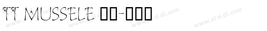 TT Mussele 粗体字体转换